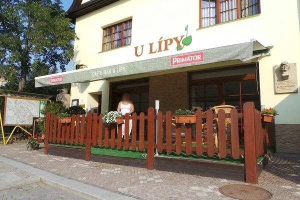 Café bar u lípy foto 1