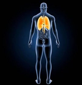 Studie potvrdily chronické onemocnění plic