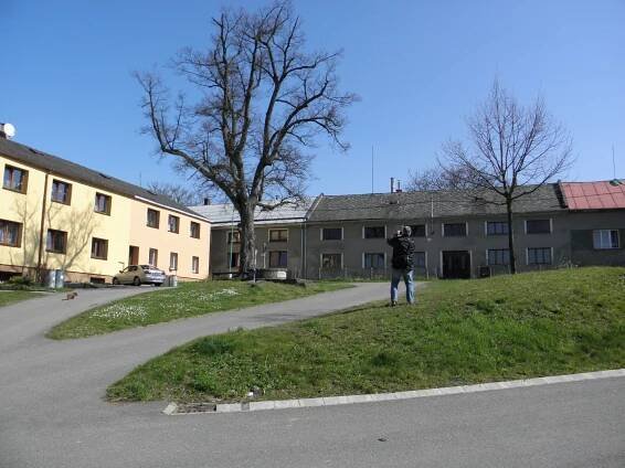 Olomoucké hory a lesy nad Radíkovem a Lošovem | Olomouc
