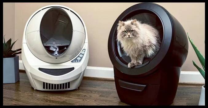 Litter-Robot 4 Vs. 3 Connect 2025 - Forbes Vetted