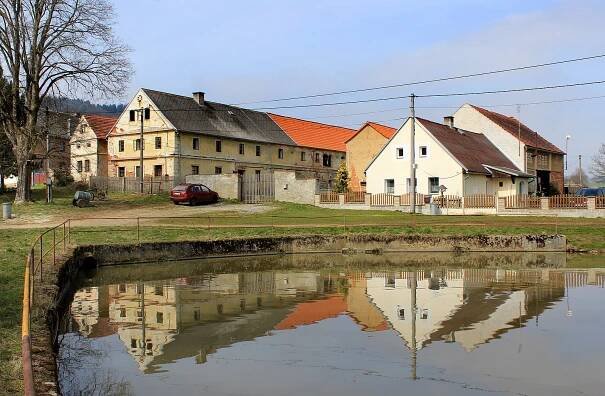 Soubor:Vidice, Libosváry, common pond.jpg