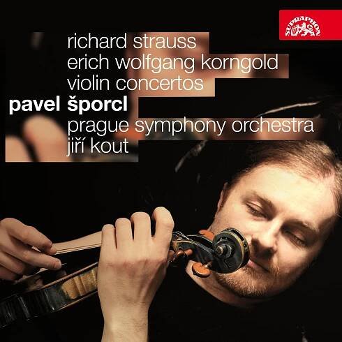 Šporcl Pavel