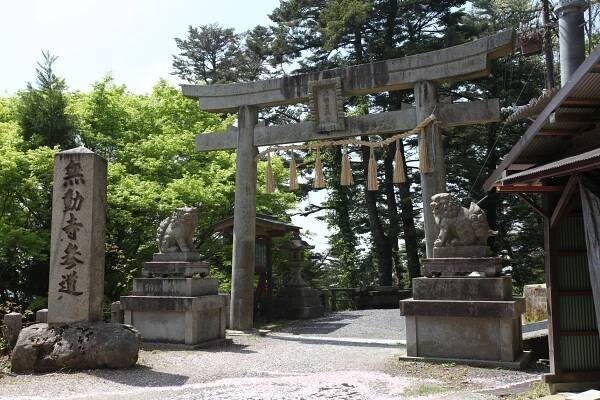 Mt. Hiei, the trail of prayer比良比叡トレイル