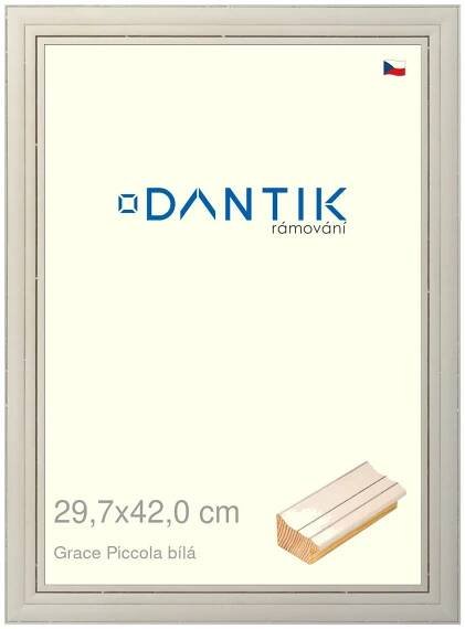 DANTIK rámeček na obraz 29,7x42 | Grace Piccola bílá (Plexi Čiré)