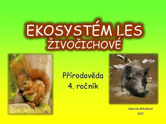 PPT - EKOSYSTÉM LES ŽIVOČICHOVÉ PowerPoint Presentation, free download - ID:5220395