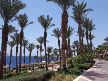 Hotel Grand Rotana Resort&Spa, Egypt Sharm El Sheikh - 12 790 Kč (̶2̶0̶ ̶9̶4̶3̶ Kč) Invia