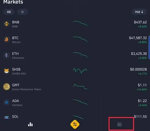Send BUSD From MetaMask to Binance 8