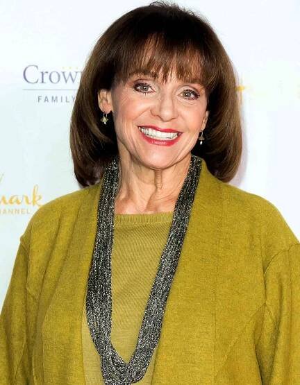 Hallmark Channel & Hallmark Movie Channel 2014 Winter TCA Party