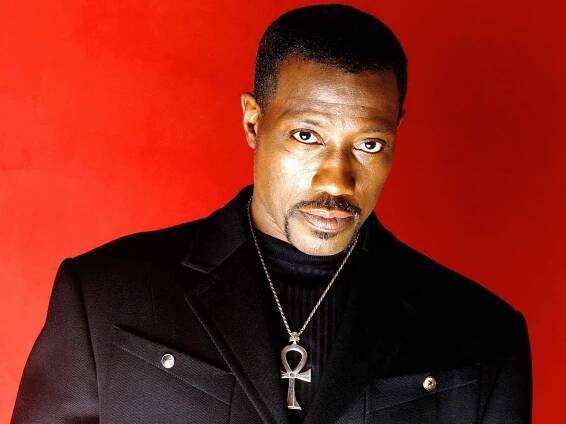 Wesley Snipes byl propuštěn z vězení