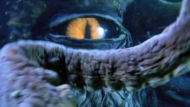 Octopus 2 – Filmy a Seriály online zdarma.