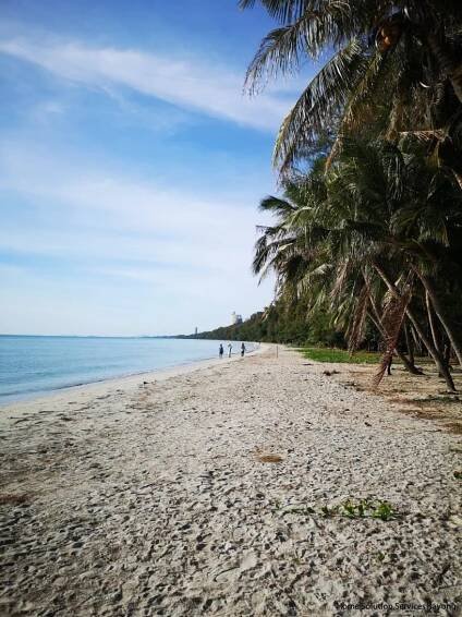 Properties for sale in Rayong
