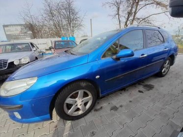 Peugeot 407 | Recovery group
