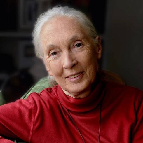 Jane Goodall - World Future Council
