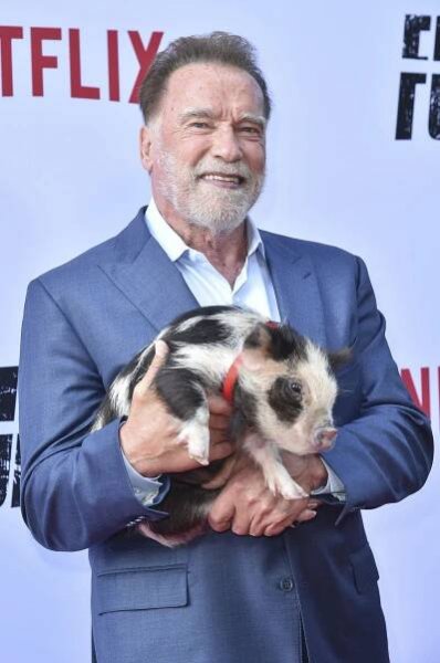Pár dní po narodeninách poriadne nepríjemná správa! Arnie Schwarzenegger skončil, naozaj mu toto spravili?