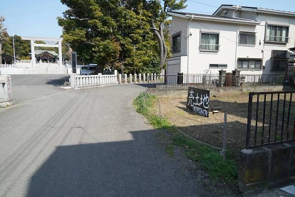 03b_031624_Fujisawa_462