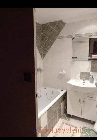 Nabízím Spolubydlení Hradec Králové