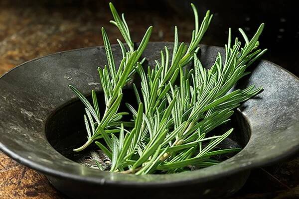 Health Benefits of Rosemary