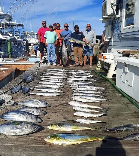 cobia | Outer Banks Charters