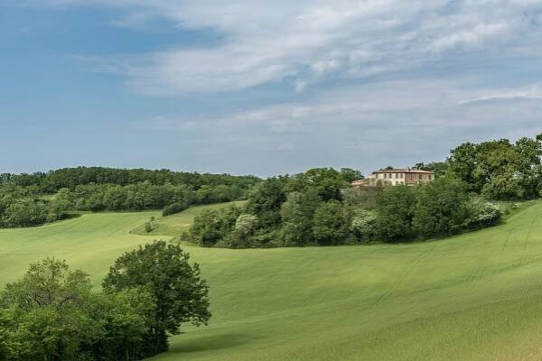 bastide au milieu des champs d'avoine