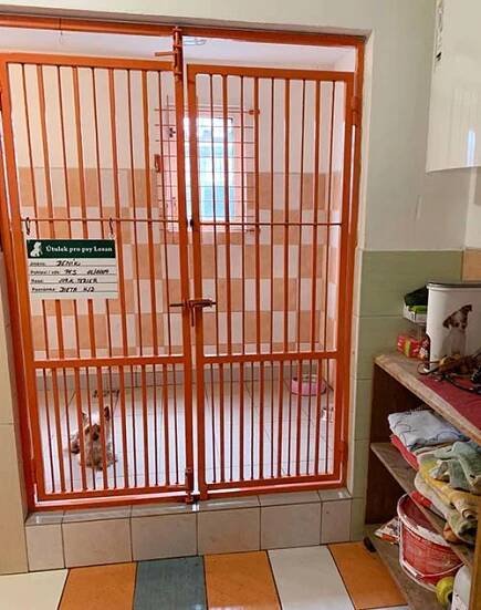 Městský útulek pro psy Lesan Kralupy nad Vltavou - Fotky útulku 