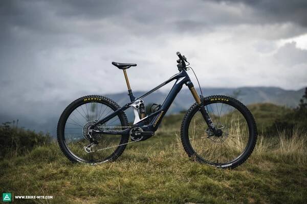 2025 Orbea WILD first test – Wilder lion or tame tiger?