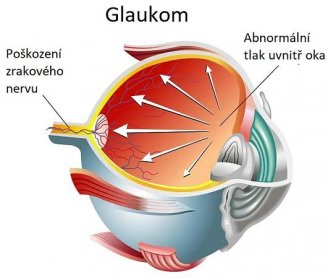 Gaukom - ilustrace