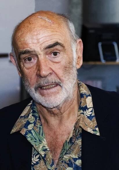 Trošku smutný pohled (2011)