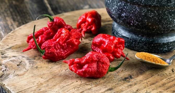 Carolina Reaper Pepper, Hottest Pepper in the World
