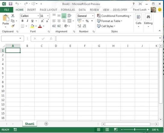 MS Excel 2013