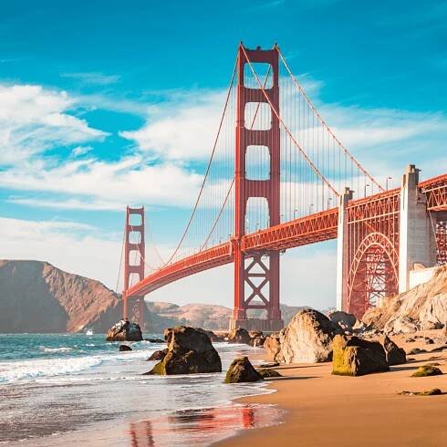 California 11