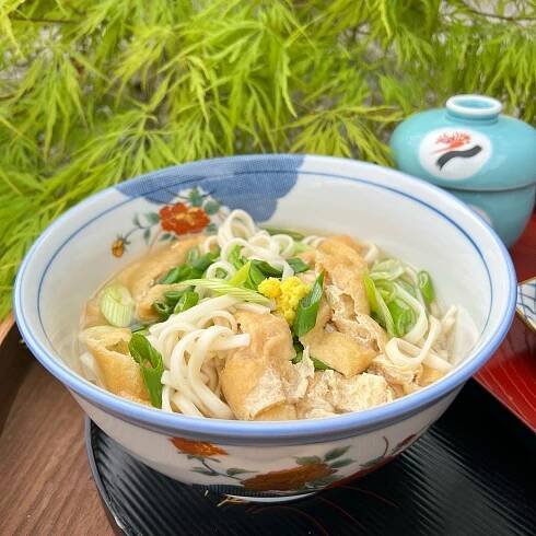 Udon – TokyoPony