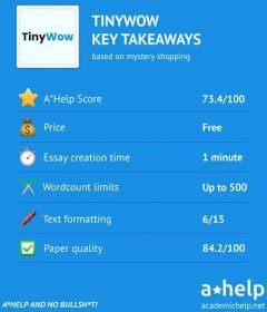TinyWow Essay Writer Review 2024: Is It Free and Safe?