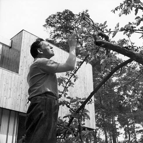 Alvar Aalto - art and formal innovations - GRAND TOUR