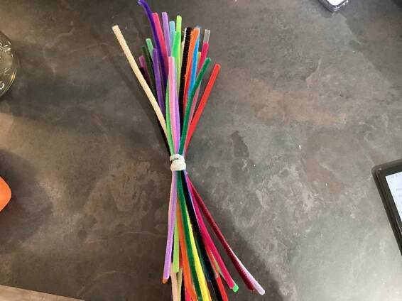 Colorful pipe cleaners