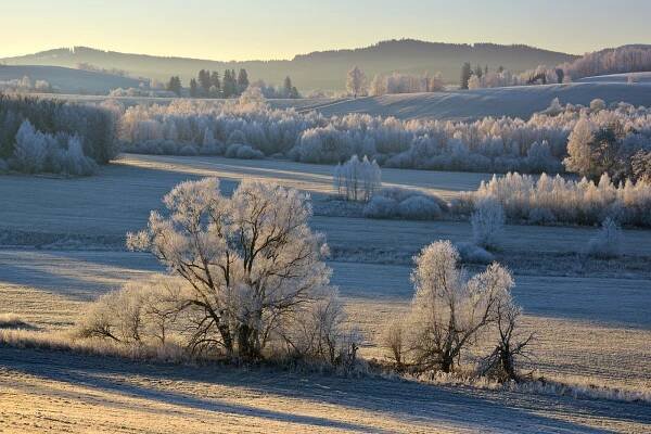 ŠUMAVA OBJEKTIVEM PAVLA OUŘEDNÍKA: Vltavský luh pod Želnavou – 1. prosince 2024Za krásnější Vimperk | Za krásnější Vimperk