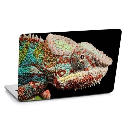 Samolepka na notebook - Hlava chameleona