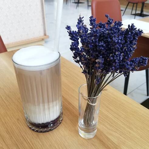 PIAZZA CAFFÈ, Brno - Menu, Prices & Restaurant Reviews - Tripadvisor