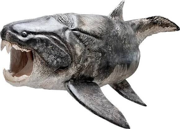 Evolution's Bite: Ancient Armored Fish Was Toothy, Too