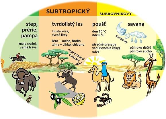 Taháky pro mého syna, kterého učení nezajímá | Lucie Seifertová | spisovatelka, umělkyně, kreativec 