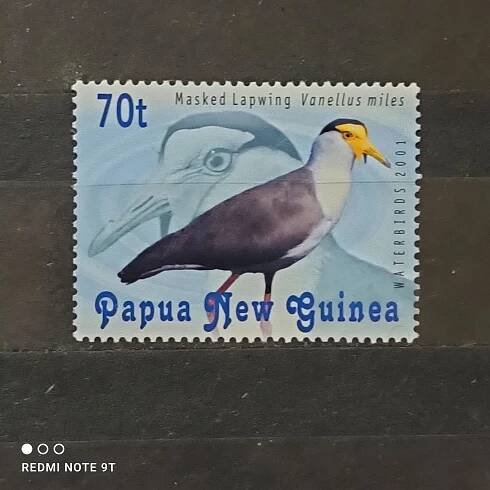 Guinea **