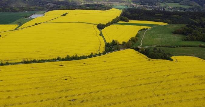 Vesničko má Babišova. Agrofert kupuje známé „JZD“ i s rudou hvězdou