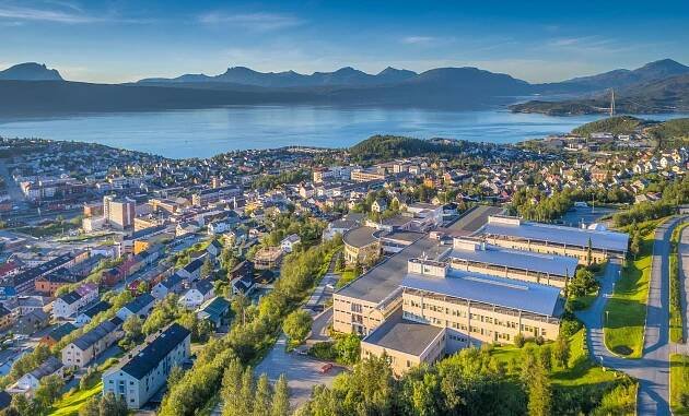 Narvik