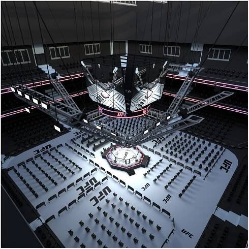 3D Arena Fighting MMA - 3D Model model