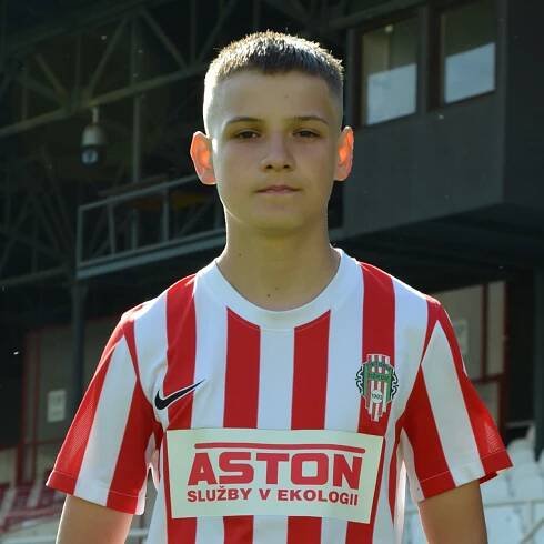 Profil hráče David HORÁK | FK Viktoria Žižkov