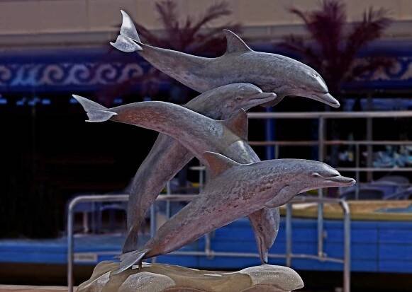 **Atalatic dophins w BLUE