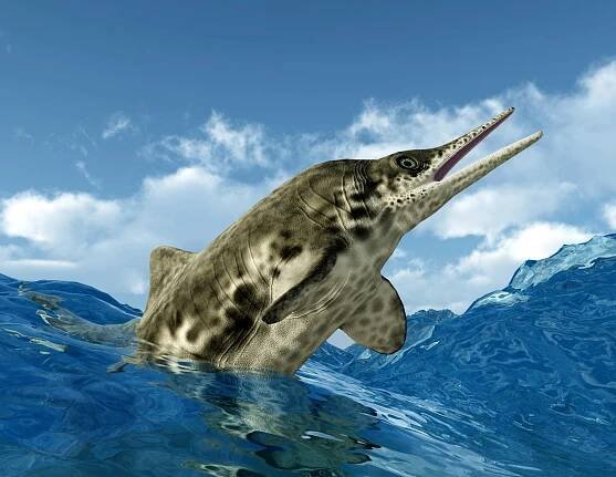 ‘Fiona’ the ichthyosaur was preserved for millions of years after a landslide