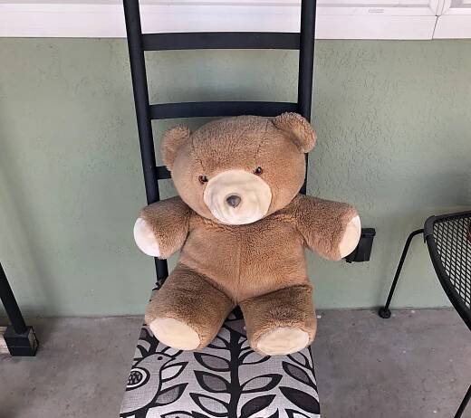The Second Life of Big Bear | Infinite Possibilities