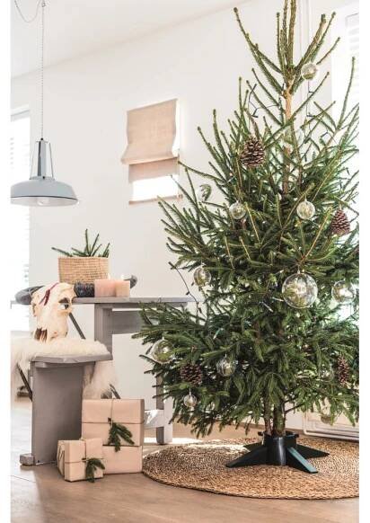 Zelený stojan na vánoční stromeček Tree Nest Essential