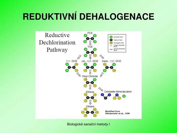 PPT - BIOLOGICKÉ SANAČNÍ METODY PowerPoint Presentation, free download - ID:1344254