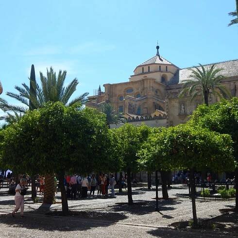 Bílá perla - Córdoba
